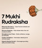 7 Mukhi Rudraksha (Nepal Origin)