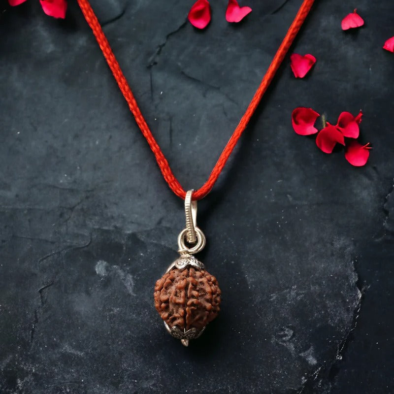 7 Mukhi Rudraksha (Nepal Origin)
